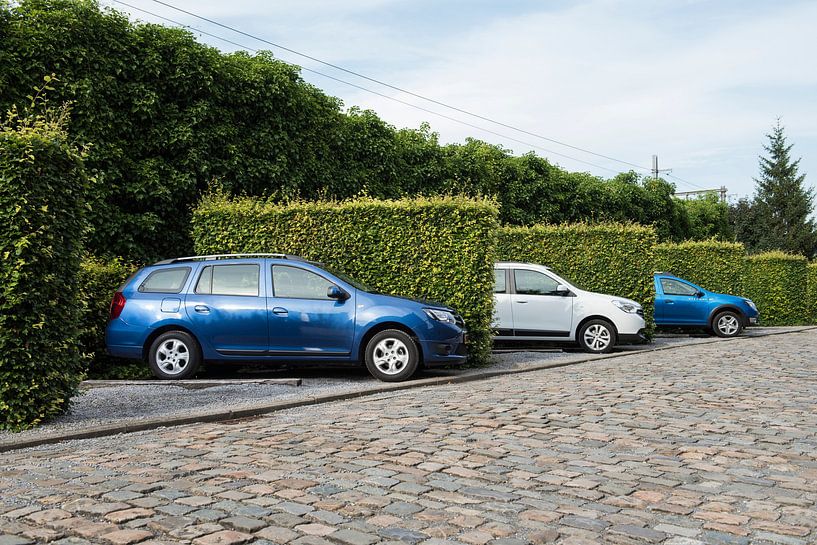 Three of a  Kind by Sytse Dijkstra