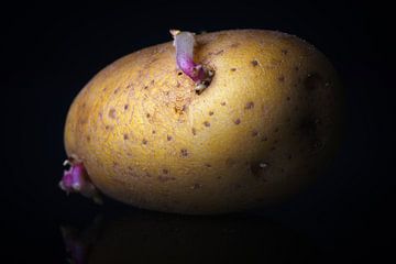 Die Kartoffel von Jan Brons