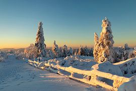 Schliffkopf in winter at sunrise by Markus Lange