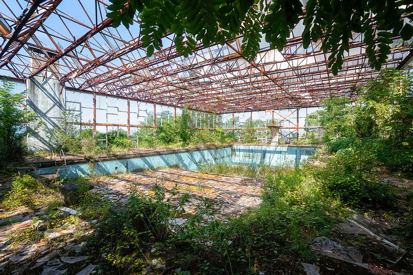 Piscine abandonnée avec des plantes. par Roman Robroek - Photos de bâtiments abandonnés