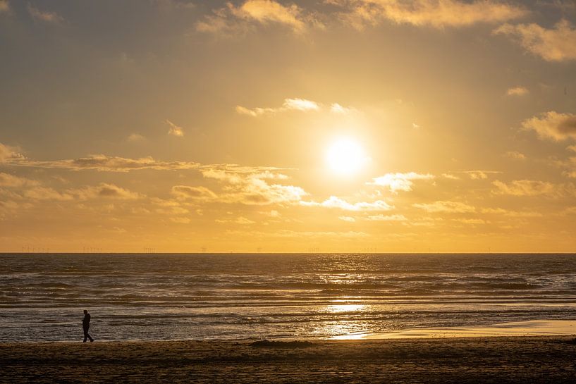 Evening sun by Michael Ruland