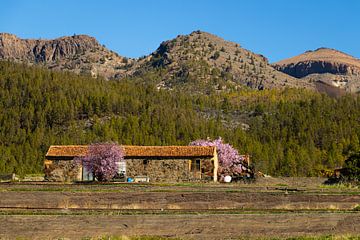 Abandoned House in the Volcanic Mountain Landscape of Tenerife