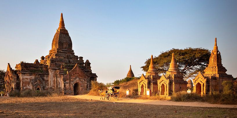Horse and cart in Bagan by Antwan Janssen