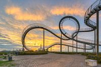 Tigre et tortue Duisburg