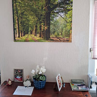 Kundenfoto: Spaziergang durch die Wälder der Veluwe, während der goldenen Stunde. von AdWF, auf Leinwand