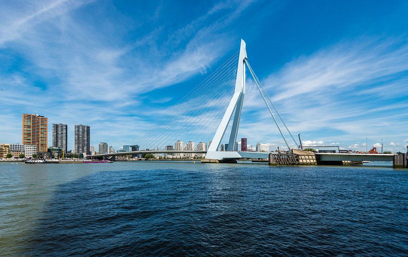 Erasmusbrug Rotterdam von Brian Morgan
