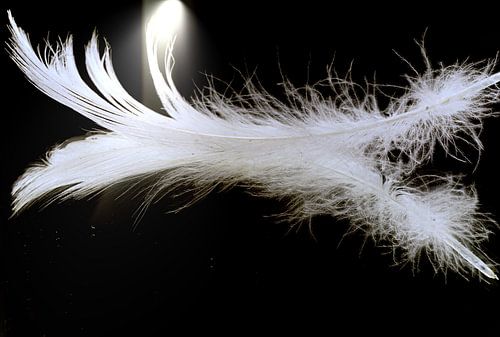 Beruhigter Frühling