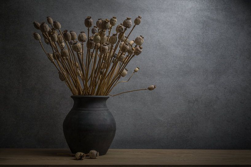 Still life with dried poppy in an earthen vase by John van de Gazelle fotografie