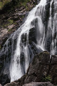 Powerscourt Waterval, Ierland van Lisesphotography