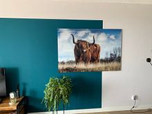Klantfoto: Schotse hooglander - Stier - Bull - Hoorns - Vacht - Koe - Drenthe - Friesland - Schotland - Heide van Designer, op aluminium