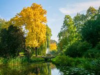 Houten bruggetje in het  Vossepark