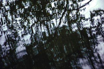 Chaos in het water van Godelieve Luijk