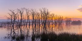 Sunrise in Tusschenwater by Henk Meijer Photography