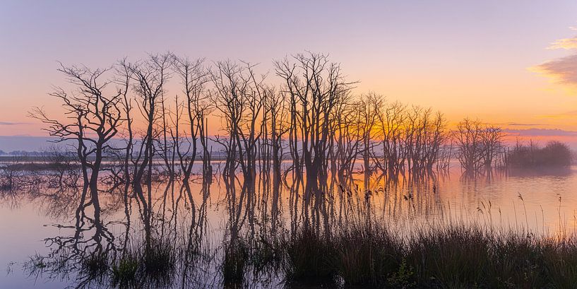 Sonnenaufgang in Tusschenwater von Henk Meijer Photography