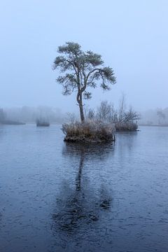 Eenzaam in het bevroren meer van Stephan Krabbendam