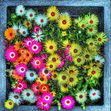 Digital Art Medium Blumen
