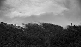 Wolkendek over Bos by WvH