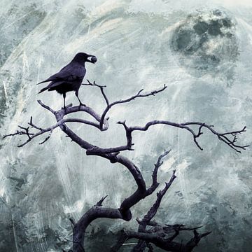 The Raven by Harald Fischer