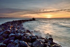 Vluchthaven Wijdenes van John Leeninga