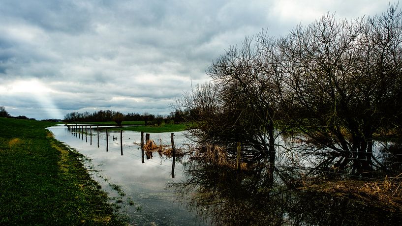Plaines inondées de l'IJssel par nol ploegmakers