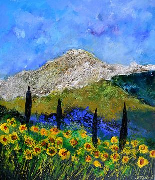 Zonnebloemen in de provence van pol ledent