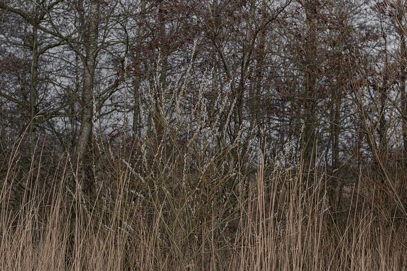 Winter by Mario Creanza