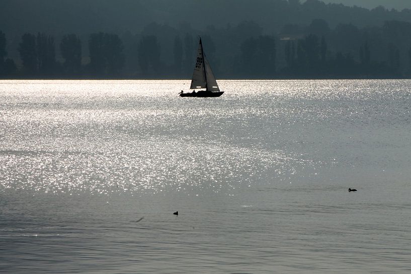 S A I L I N G by Renate Dohr