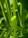 All in green by Vera Laake thumbnail