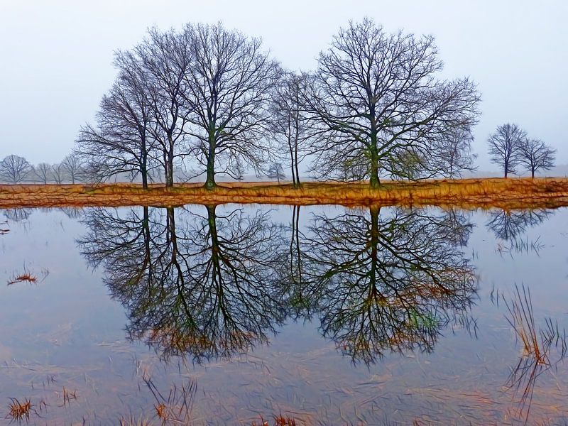 Bespiegelingen (Twee bomen spiegelen ven) van Caroline Lichthart