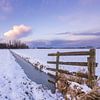 Winterliche Polderlandschaft - Alblasserwaard von Sugar_bee_photography