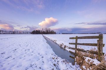 Paysage hivernal des polders - Alblasserwaard sur Sugar_bee_photography
