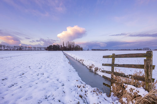 Winters polderlandschap - Alblasserwaard