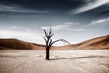Dode Camelthorn bomen tegen rode duinen en blauwe hemel in Deadvlei, Sossusvlei van Tjeerd Kruse
