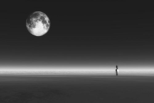 Klimaatverandering - Penguin