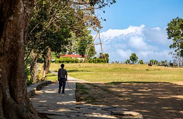 Un homme marche dans un parc. sur Floyd Angenent