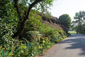 Reetgedecktes Bauernhaus im Bremer Blockland, Bremen, Deutschland, Europa