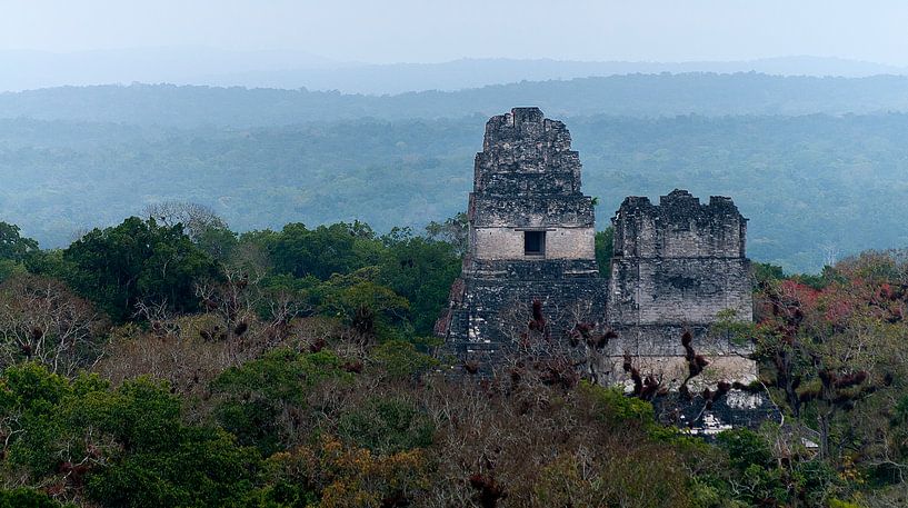 Guatemala: Tikal (Yax Mutal) by Maarten Verhees