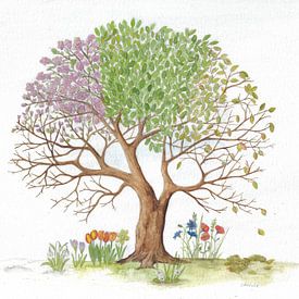 Vierseizoenenboom van Sandra Steinke