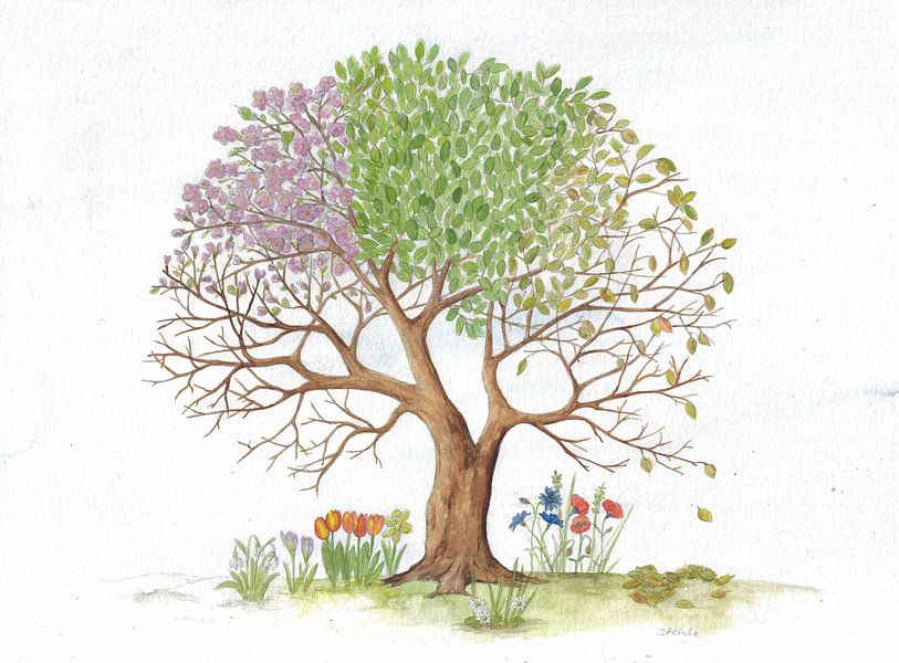Vierseizoenenboom van Sandra Steinke