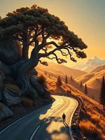 Lone Tree on Sunset Cliff