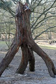 Bijzondere boomstronk op vier poten by Dlanor