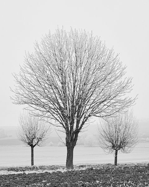 Winter-Ernte 3 von Keith Wilson Photography