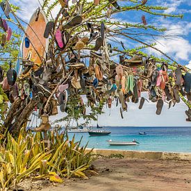 Boom versierd met slippers in landschap aan boulevard in Kralendijk op Bonaire van Ben Schonewille