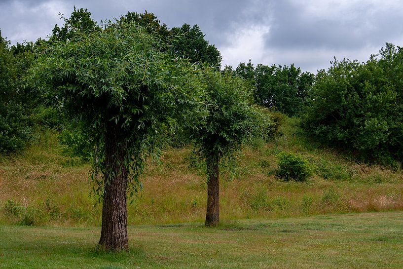 Zomer in Weert idyllisch in park Boshoven van Jolanda de Jong-Jansen