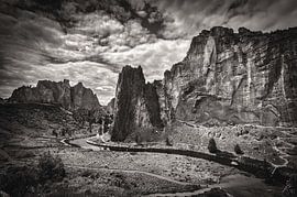 Wild Rocks by Angelica van den Berg