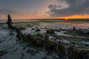 Katse Veer Wrack