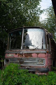 Old Mercedes-Benz O 302 by Catch Chris