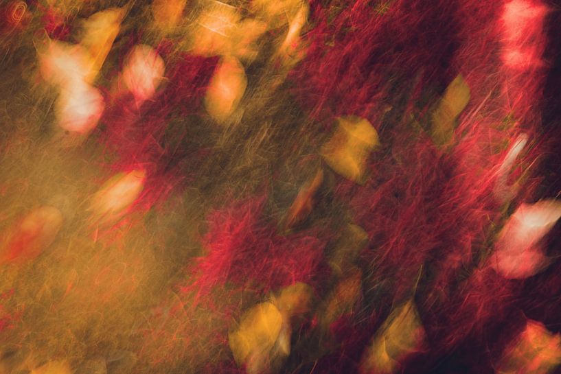 Herbststurm by Dagmar Marina