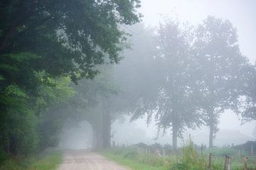 Landweg in de mist van Francis Dost