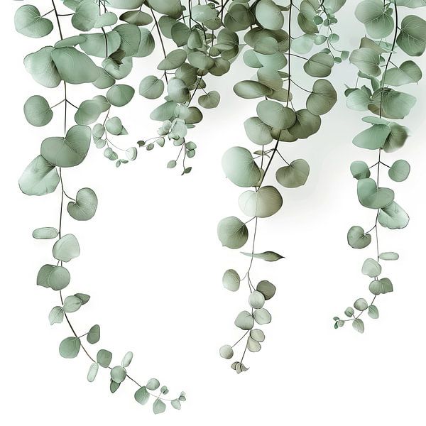 Eucalyptus cascade by Poster Art Shop